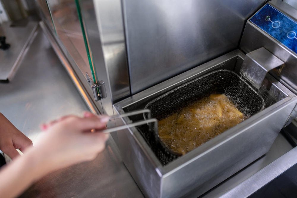 electric fryer
