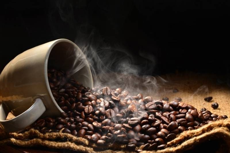 Tips Merawat Dan Membersihkan Coffee Bean Grinder Agar Tahan Lama, Ternyata Tidak Sulit!